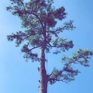 Meet your Posher, Angel